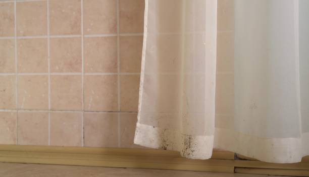 Best Mold Prevention Services  in Otsego, MN