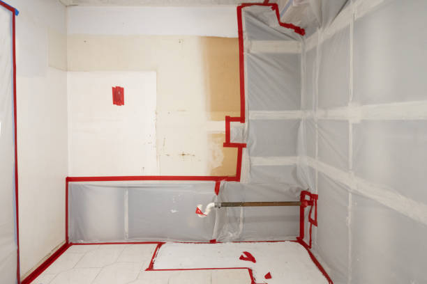 Best Black Mold Removal  in Otsego, MN