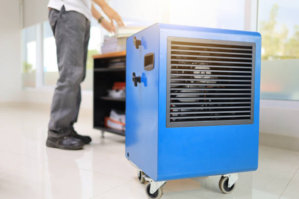 Trusted Otsego, MN Mold Removal Experts