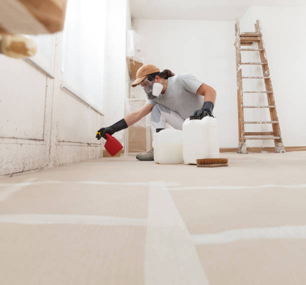 Best Asbestos and Lead Testing During Mold Inspection  in Otsego, MN